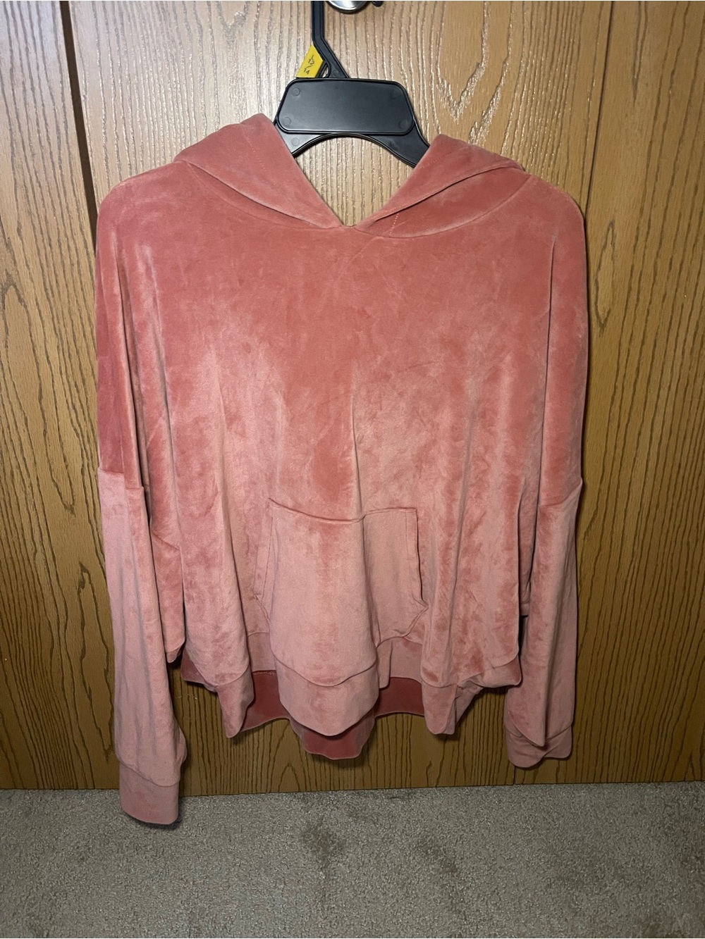 American Eagle Outfitters Plush Hooded Pullover in Dusty Rose